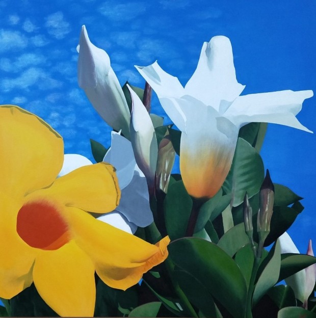 flowers by Gallerygift