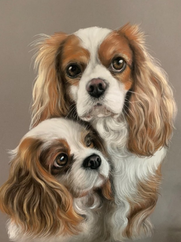 dogs by Gallerygift