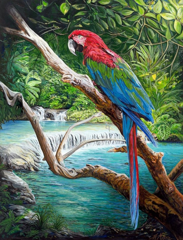 The Scarlet Macaw by Helen Mitra