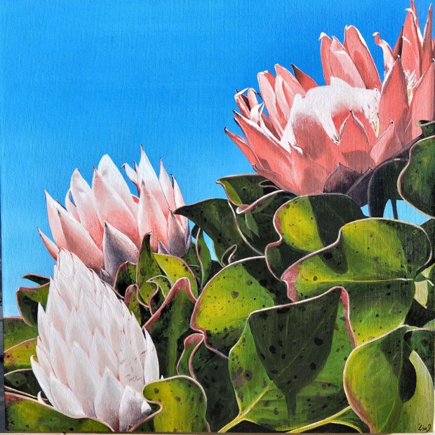Proteas at Callicoma Hill by Lisa Jane Gaudron