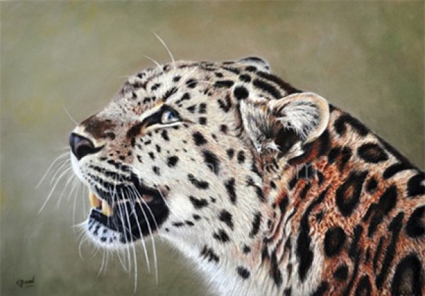 Looking for a future by 