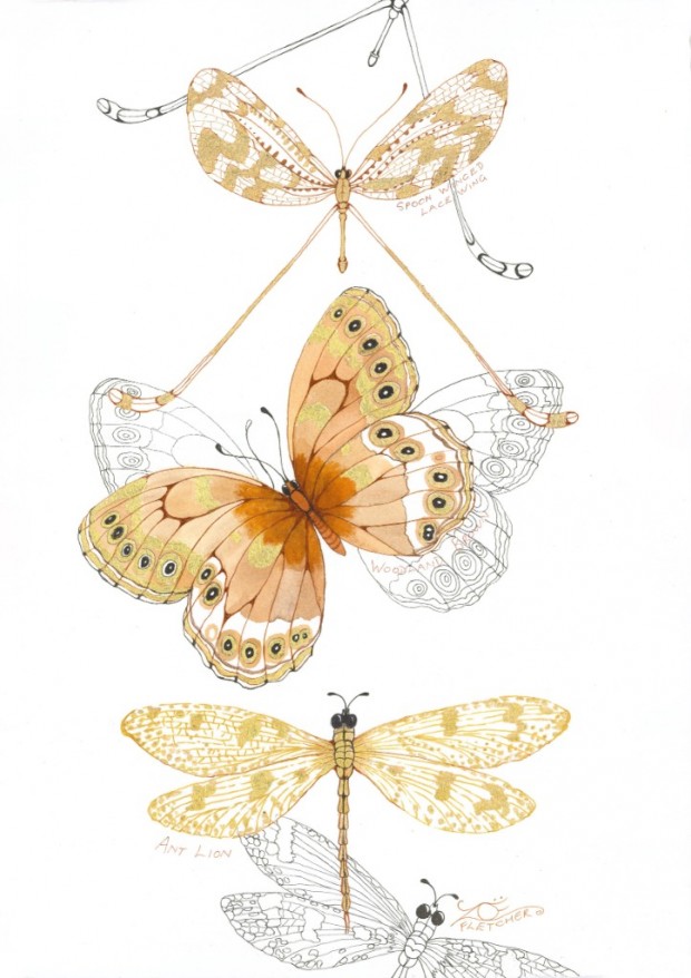 Lacewings and Company by Zoe Fletcher