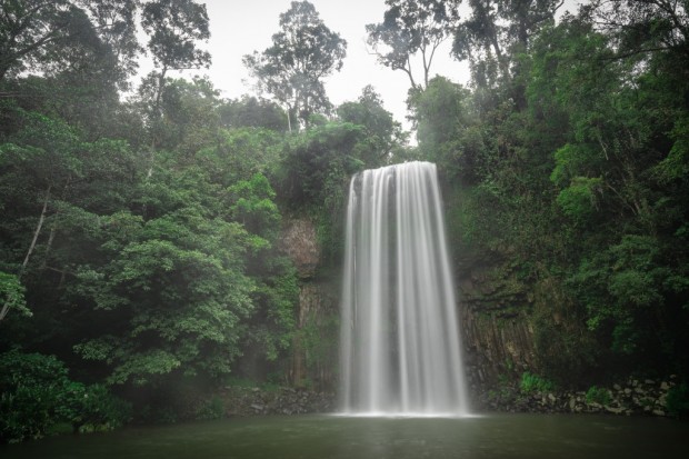 Millaa Millaa Falls by Martin Stringer