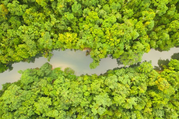River of Life by Martin Stringer
