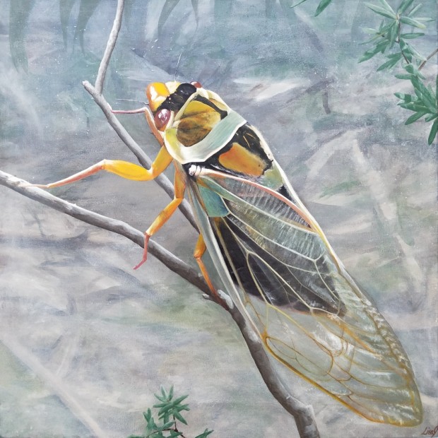 Shining Chorus - a Cicada by Lisa Jane Gaudron