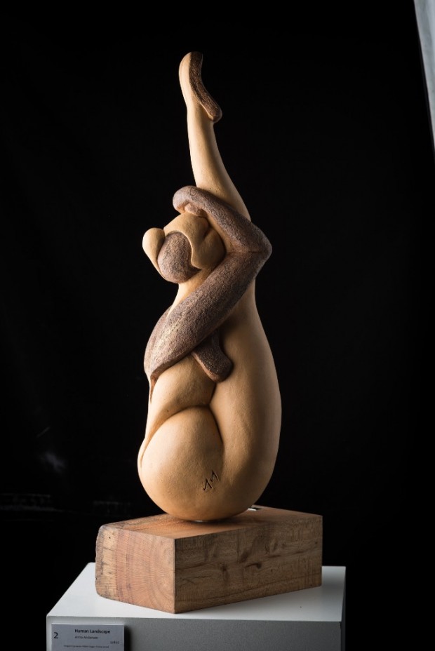 Human Landscape by Anne Anderson