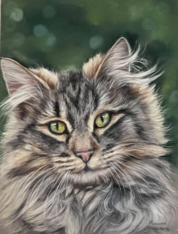 Cat Portrait by Marianne Bindemanis